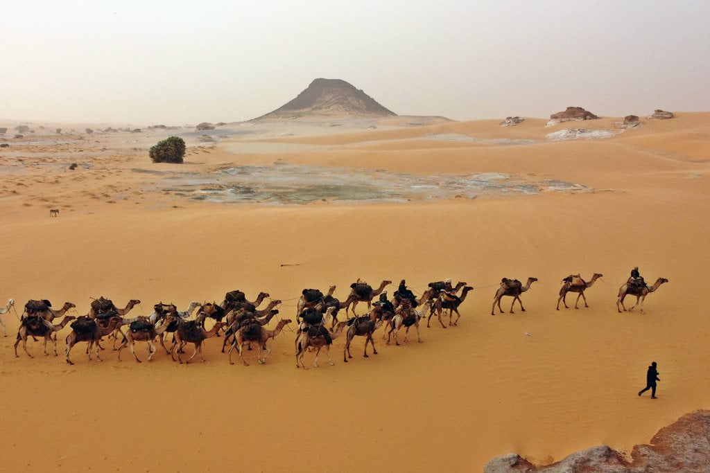 Caravanas sal Sahara