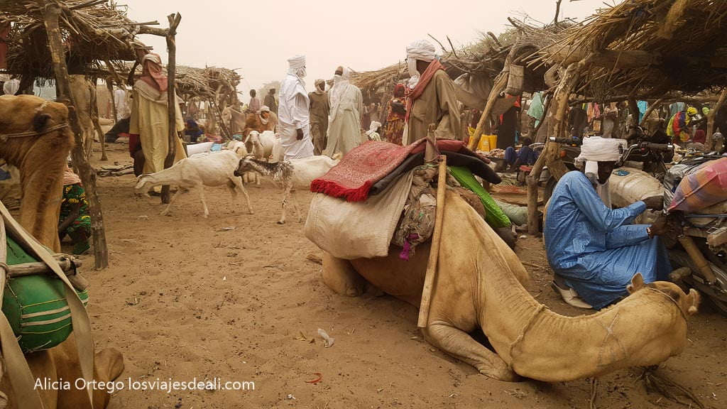 Mercado de Isseirom con un camello sentado, cabras y hombres con turbantes