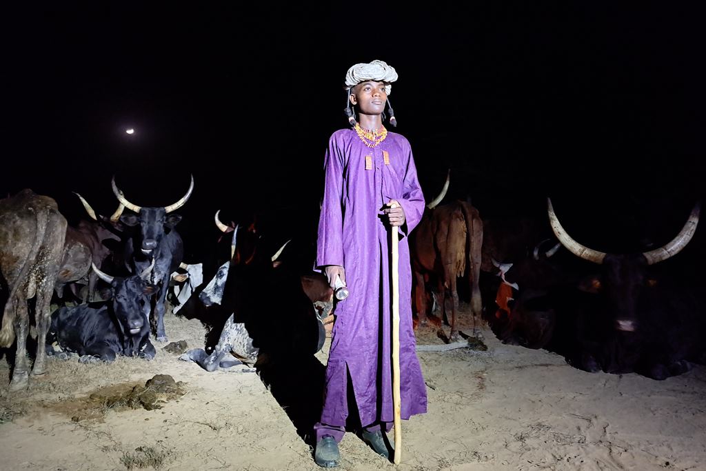 wodaabe herdsman from chad with his cows
