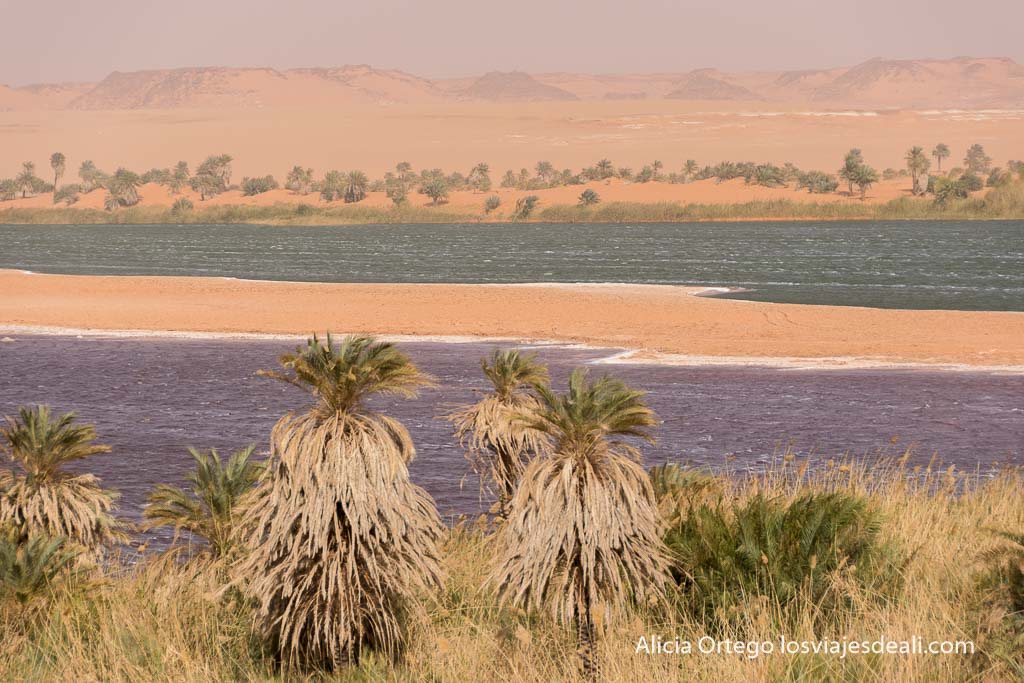 ounianga lakes in different colours in the desert 
