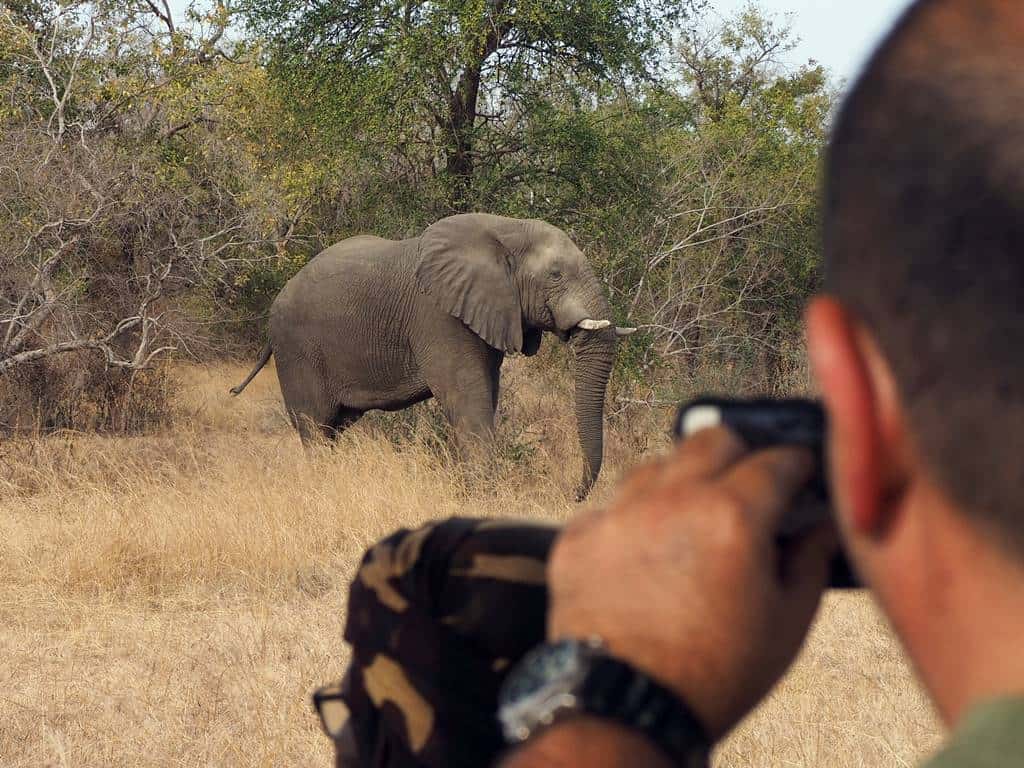 Parc National Zakouma