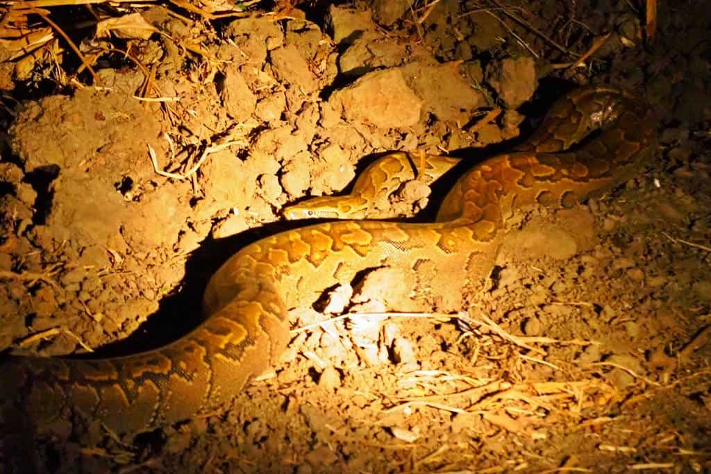 Zakouma National Park