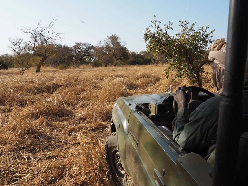 Parc National Zakouma Chad