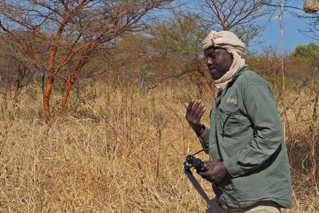 Walking safari in Zakouma