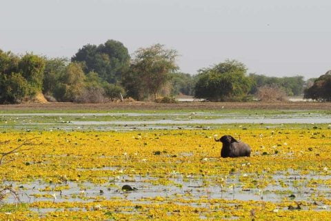 Zakouma National Park