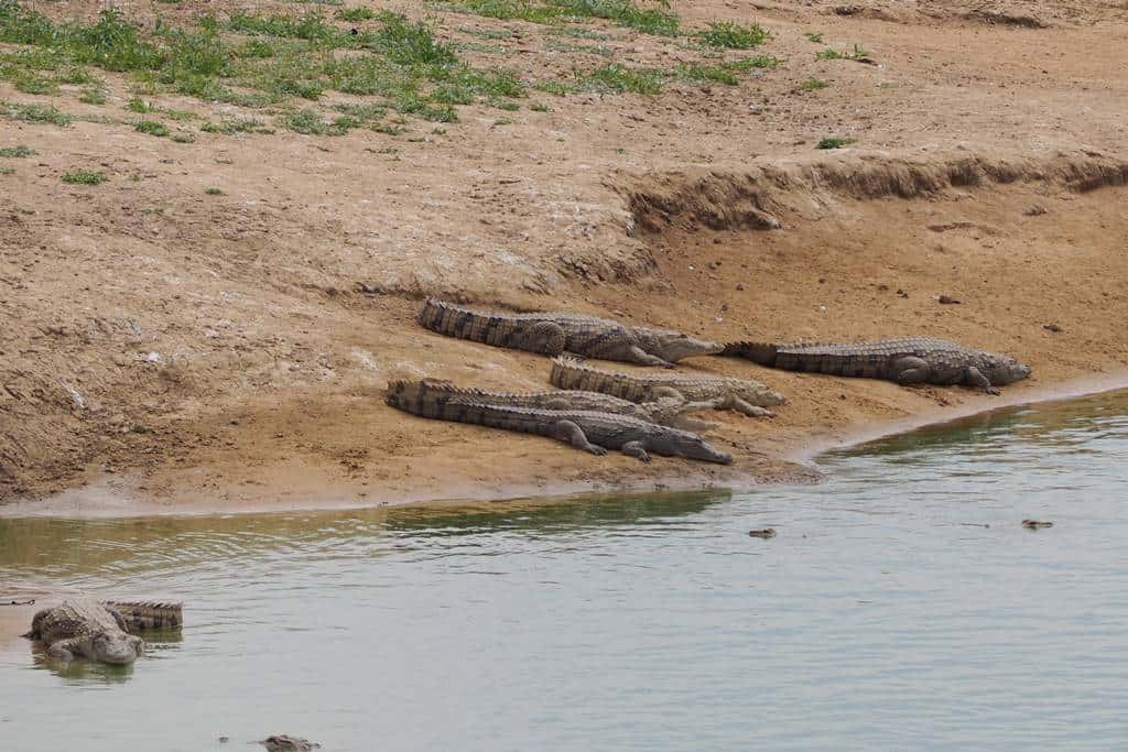Zakouma National Park