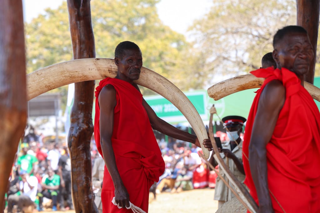Kulamaba Zambia