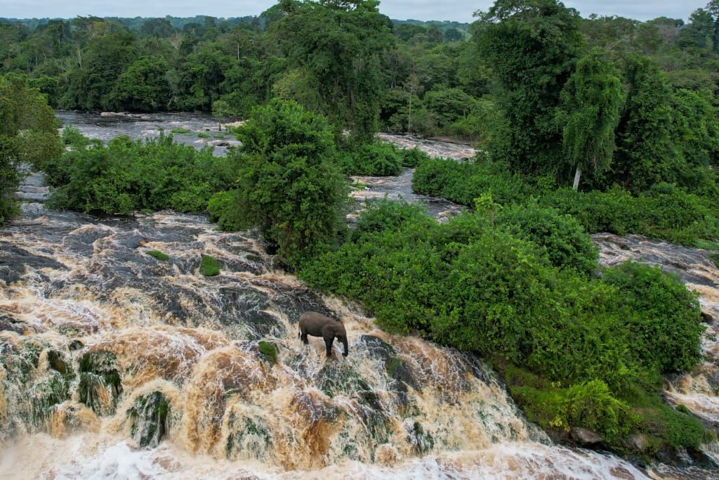 Ivindo National Park