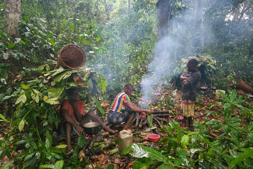 Bayaka Africa