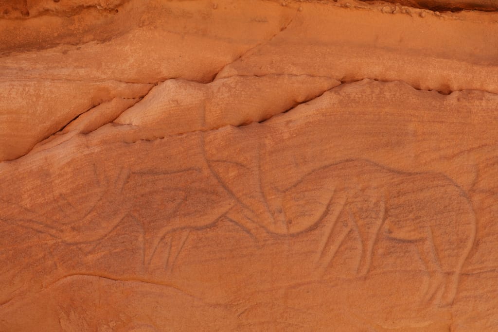 Rock Art Tassili