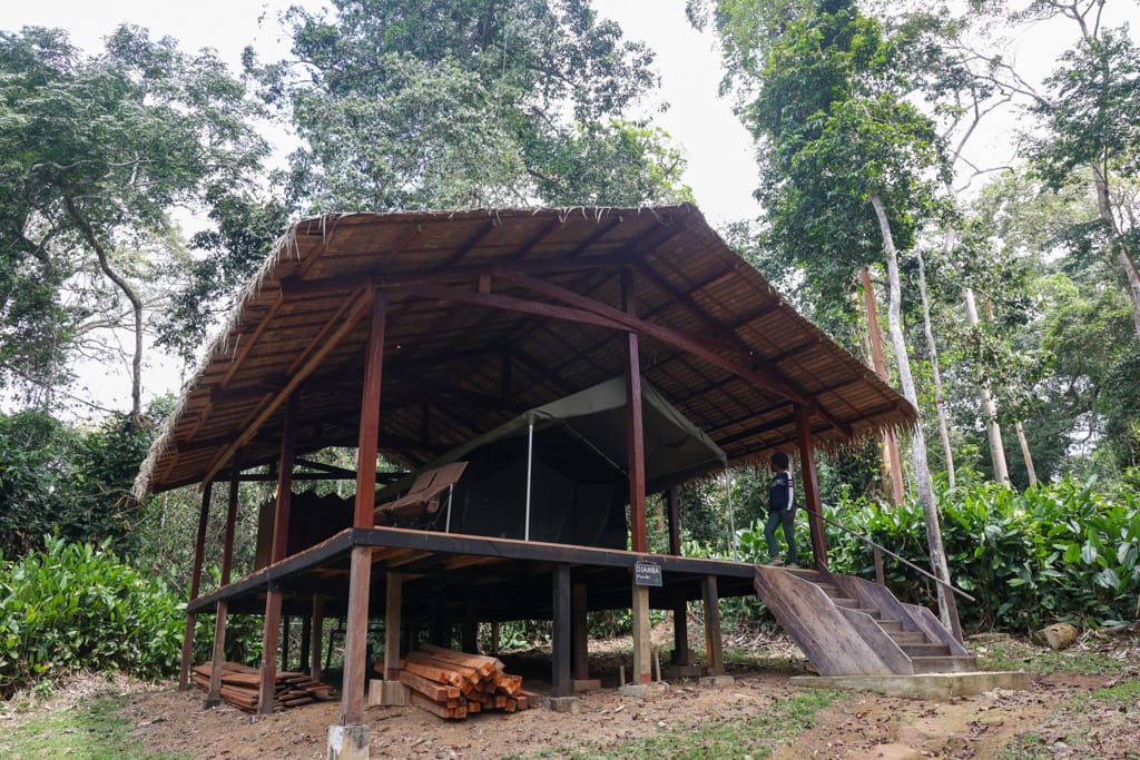 Imbalanga Lodge Odzala