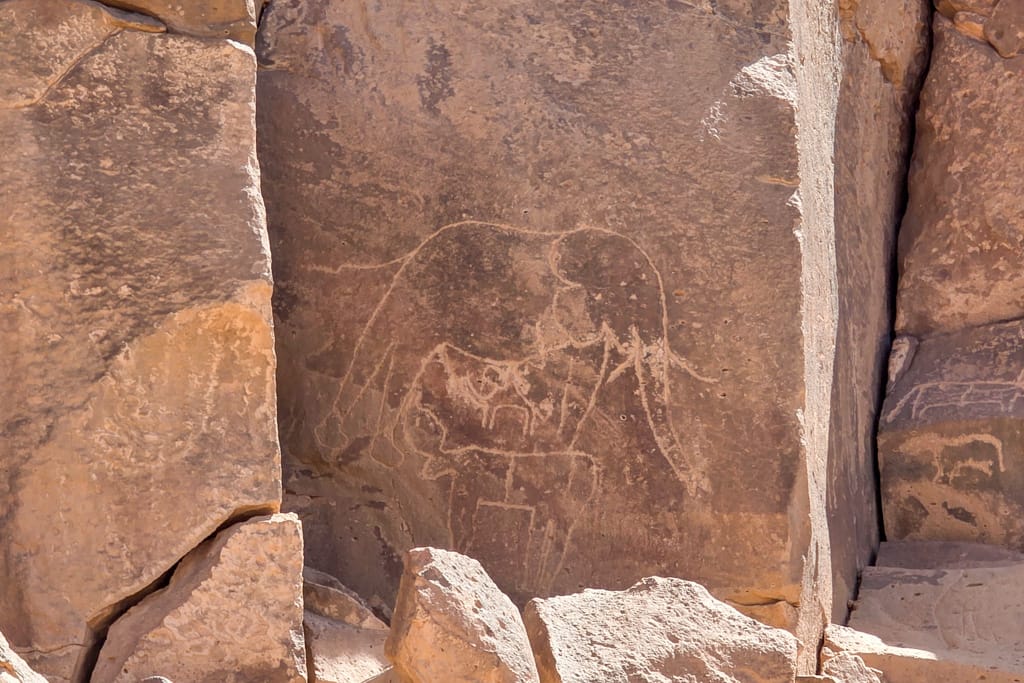 Sahara rock art