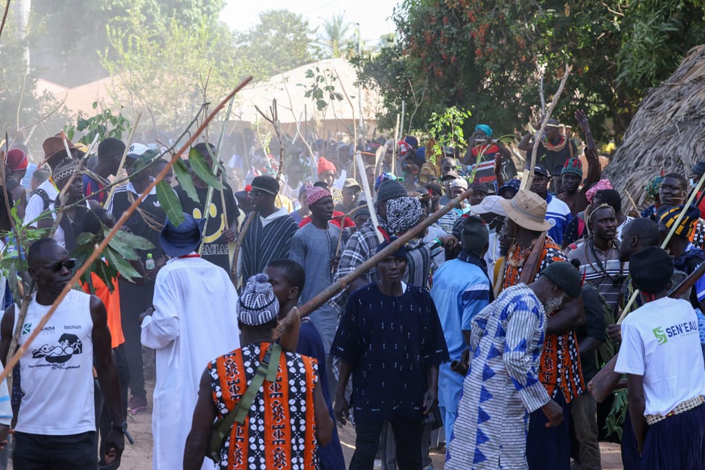 Festivales Casamance