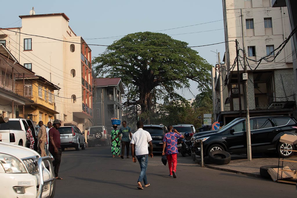 cotton tree de freetown en el centro