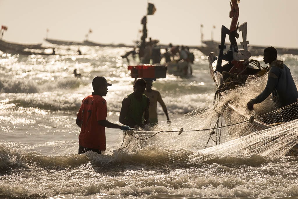 fishermen at sea with their nets in Casamance, Senegal