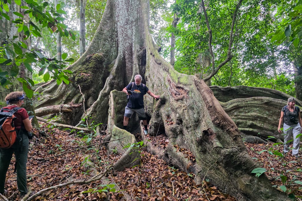 Trip to Gabon