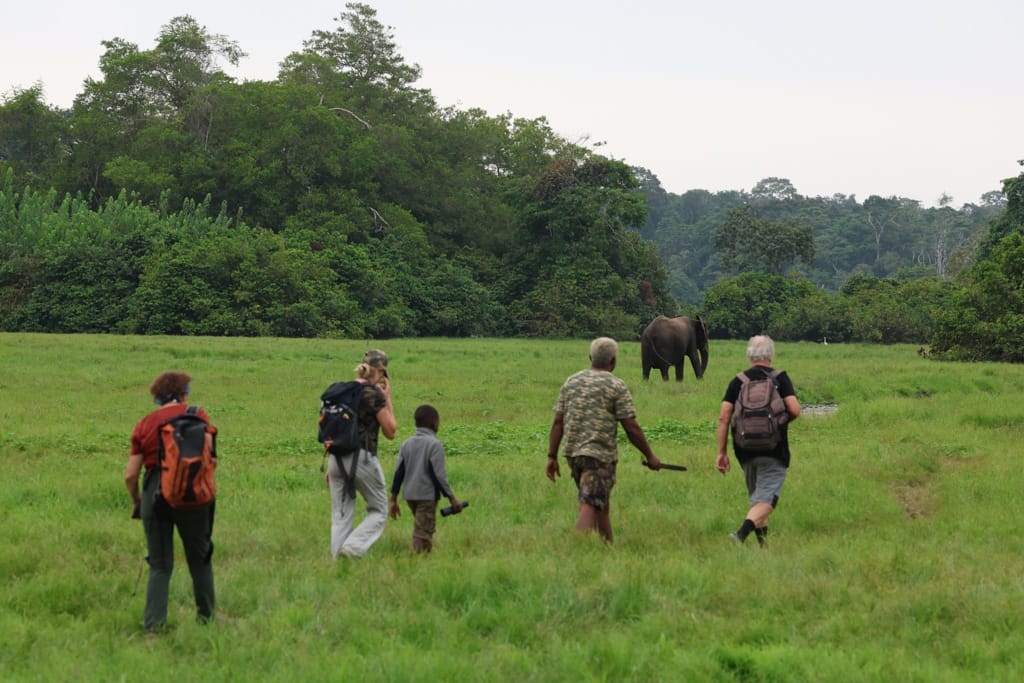 Akaka, Gabon