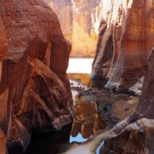 Guelta de Archei en Ennedi