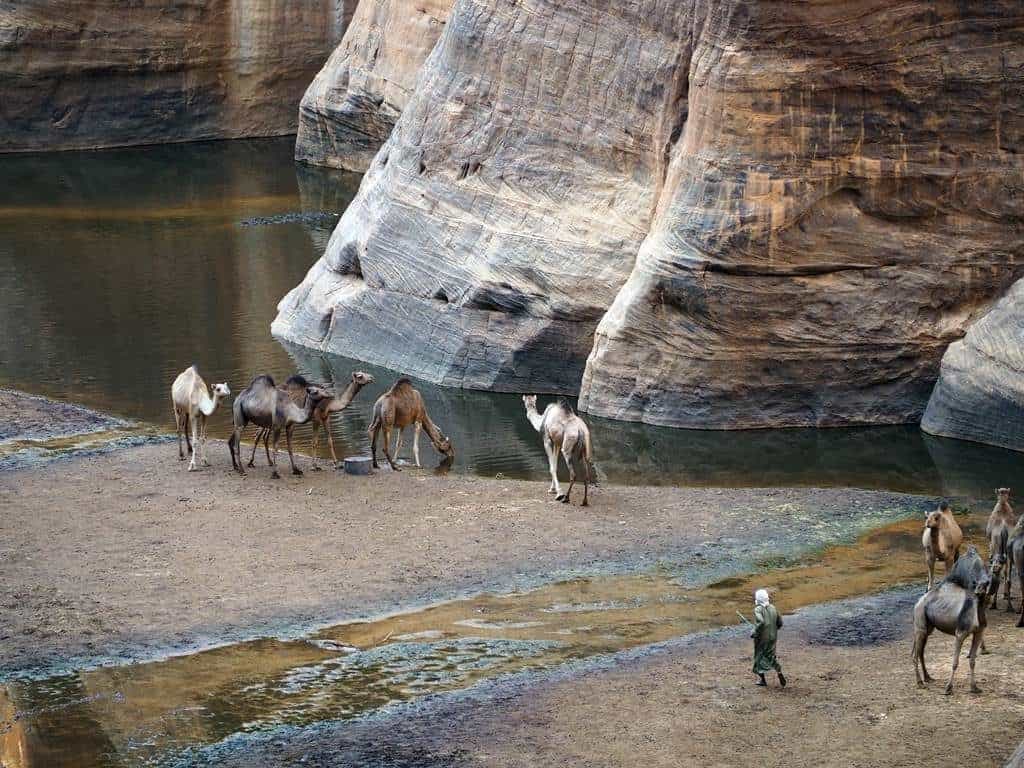 Guelta d'Archei en Ennedi